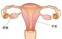 苏州国医堂万太保：如何正确认识卵巢囊肿